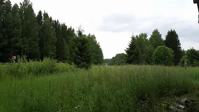 дождик в деревне