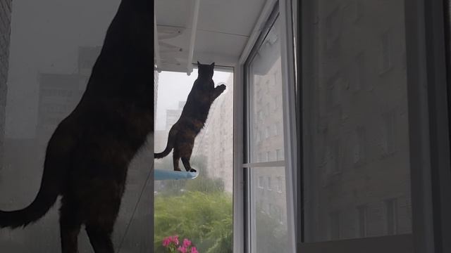1000225586.mp4