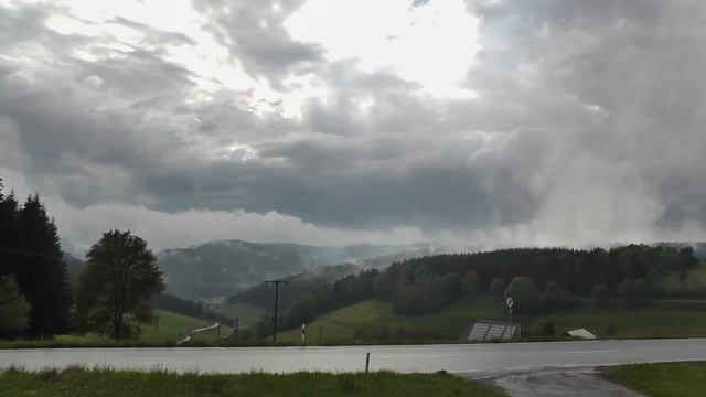 Schwarzwald Natur Nach Dem Regen | Black Forest After The Rain