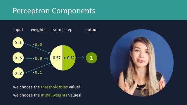 Perceptron Algorithm with Code Example - ML for beginners!