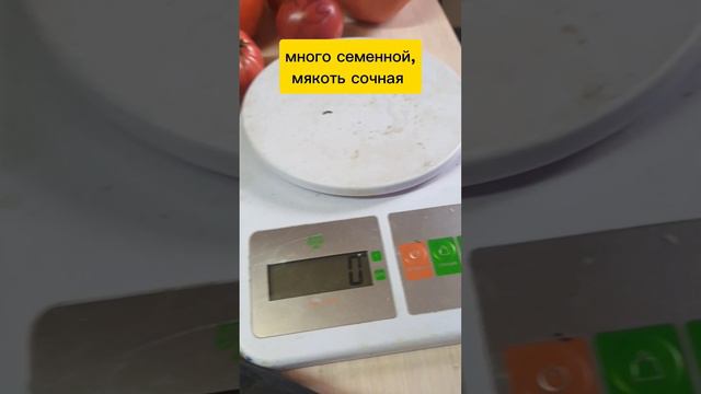 Очень сладкий ТОМАТ ДОН ЖУАН!!.mp4