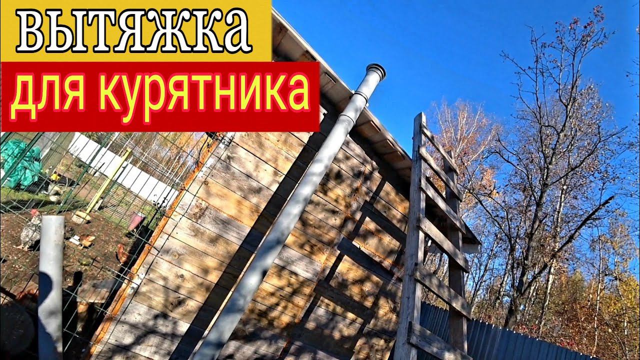 Установили вентиляцию в курятник. Посадили чеснок.