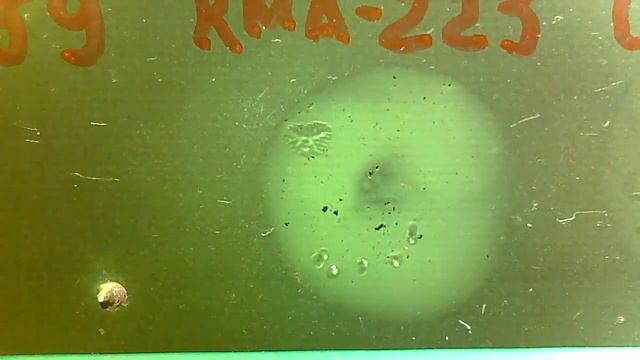 А на утро они проснулись (отмылись)... NC559, RMA223, Ozon 3M