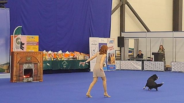 Чемпионат России.Кубок России по танцам с собаками.