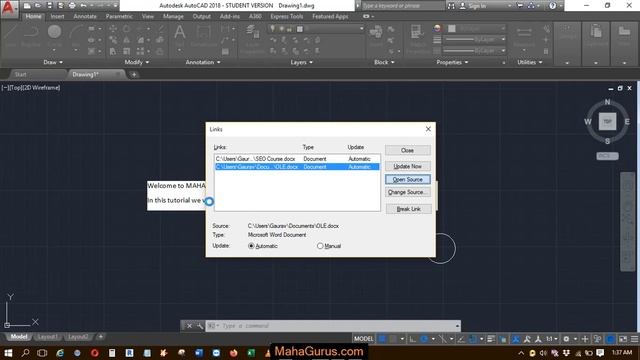 What is OLE Object and How to Use OLE Links in Autocad-  Edit File Using OLE Links Autocad in Hindi