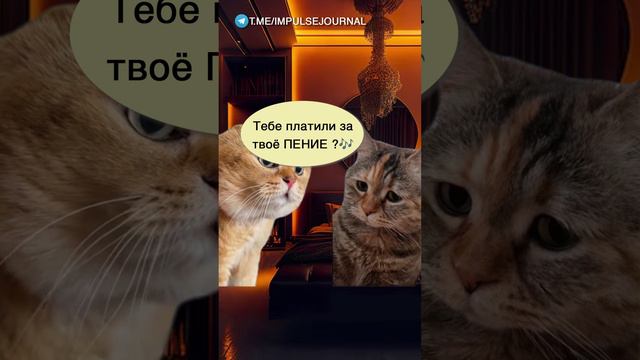 Схема заработка #мыкотики  #разговор #анекдот #шутки #коты #юмор #смешное #прикольно #мемы #cat