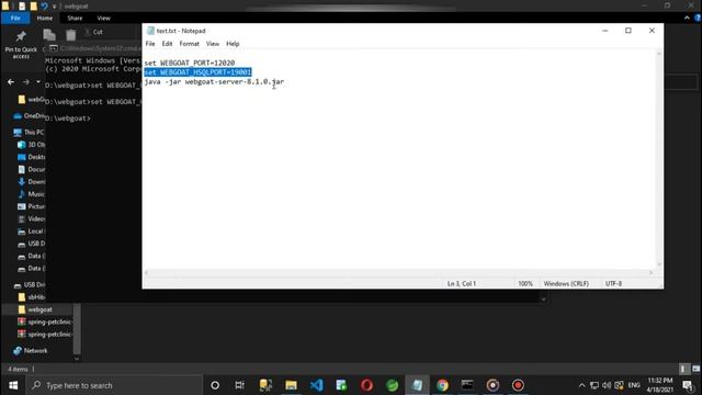 Port 8080 already in use - Change port and run WebGoat | Run WebGoat on a different port | Sinhala