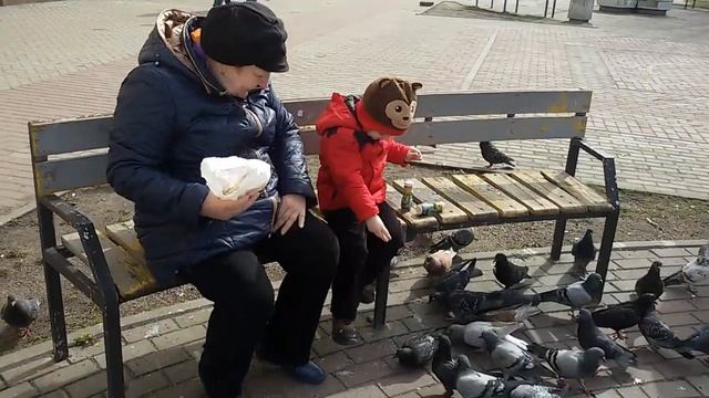 ГОЛУБИ. МНОГО ГОЛУБЕЙ. Lesha and grandmother feeding pigeons