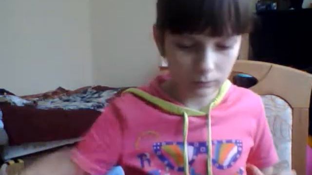 Дача для кошек ЛПС и дом паука 4