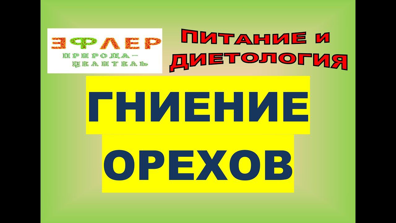 У ВСЕХ ЛИ ГНИЮТ ОРЕХИ В ЖКТ? ЗАРОДЫШИ В НАШЕМ КИШЕЧНИКЕ. СЫРЫЕ и ПРИГОТОВЛЕННЫЕ. ЗЛАКИ, БОБЫ, СЕМЕНА