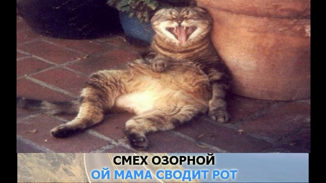 Караоке для детей! Смех детства! ( плюс)