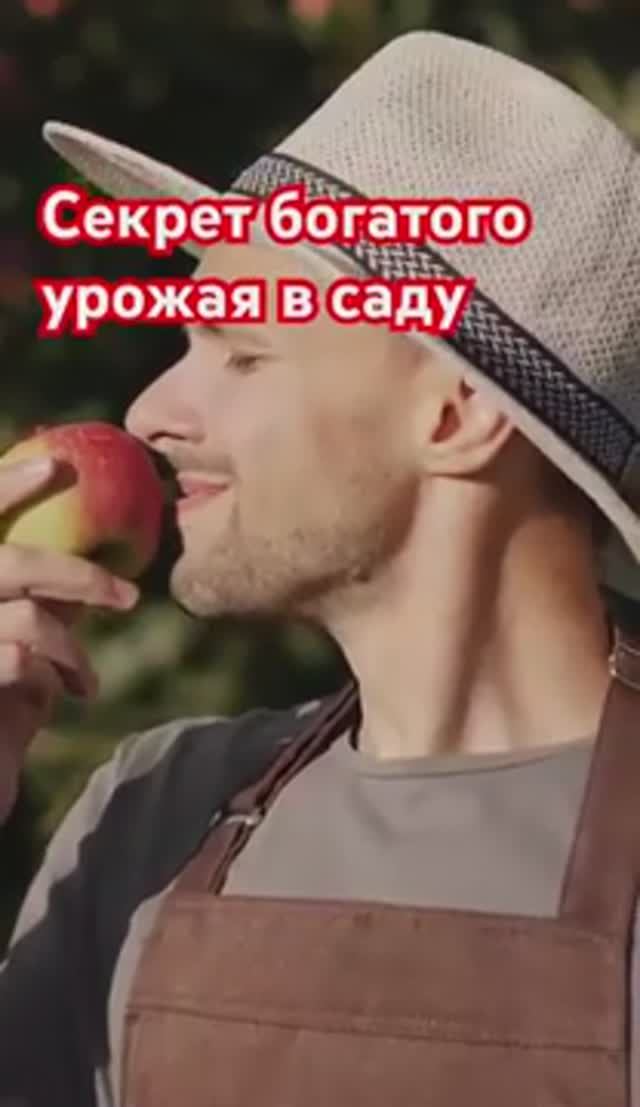 "Народный" способ ЛЕГКО увеличить урожай фруктов (мало кто знает)