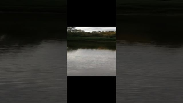 Рыбак Фаня