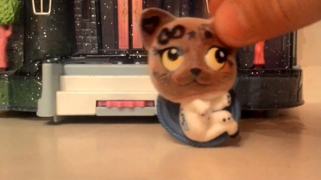 Я буду сниматься в рекламе доктор мом