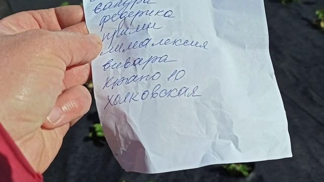 Мои новинки земляники на сезон 2022г. Омск, 21.09.2021