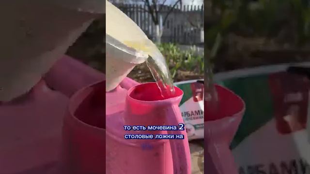 Video by Дачный помощник - дача сад огород (1)