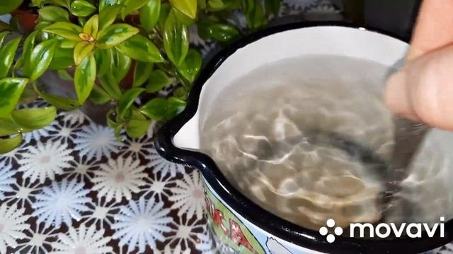 ОДНИ ИЗ ЛУЧШИХ УДОБРЕНИЙ ДЛЯ КОМНАТНЫХ ЦВЕТОВ!