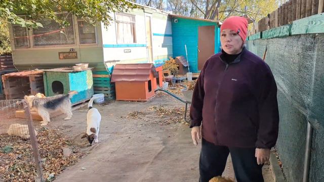 Собаки сами выбрали, про кого сегодня рассказать