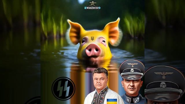 Хрюшки 🐽 заблудились