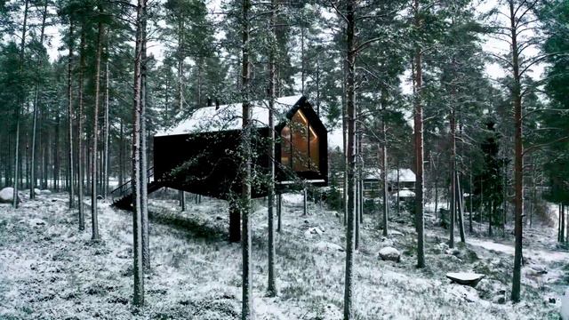 Домик для отдыха "Чёрная Хижина" (Black Cabin) в финском лесу.