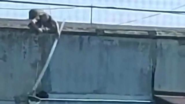 Выглянув в окно люди ахнули! На карнизе многоэтажки кто-то кричал от страха!