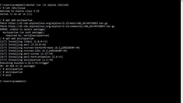 14 03 run containers & add software, then build image