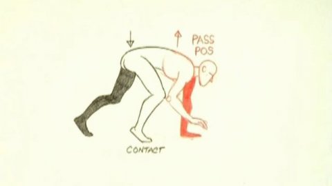 7. Sneaks, Runs, and Animal Action