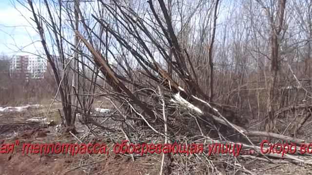 Экотропа Ивинская