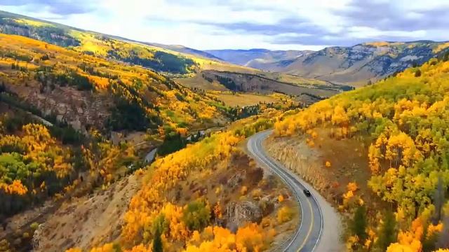 Autumn Dreams