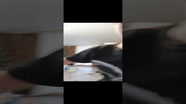 Сегодня будет (но верно) влог