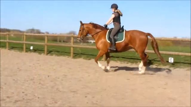 Monic Fuglebjerg salgsvideo