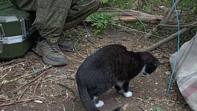 Группа войск "Север" начала подготовку боевых котов-минеров