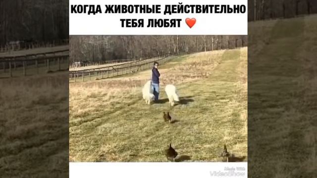 ЖЕНСКИЕ ХИТРОСТИ ! #103