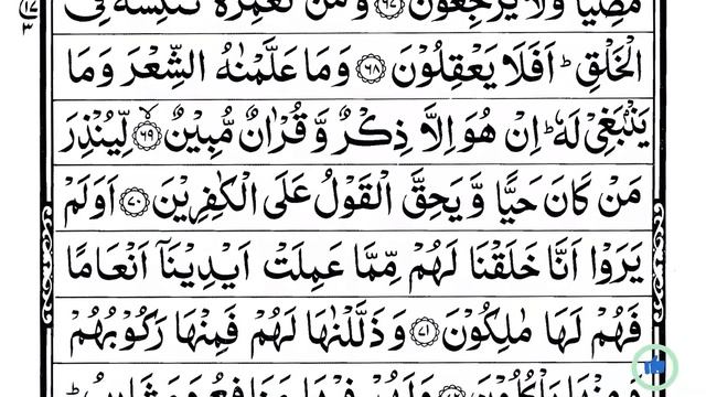 Surah Yaseen | Yasin | Episode 246 | Daily Quran Tilawat Surah Yasin Surah Rahman Surah yasin yasee