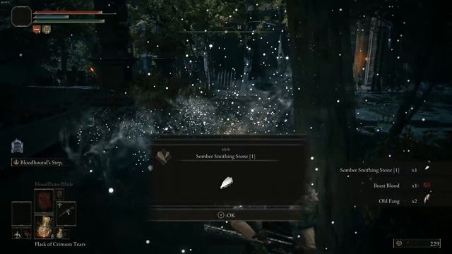 PARRY THIS YOU FILTHY CASUL v2 - Elden Ring GUN SOULS MOD Funny Moments