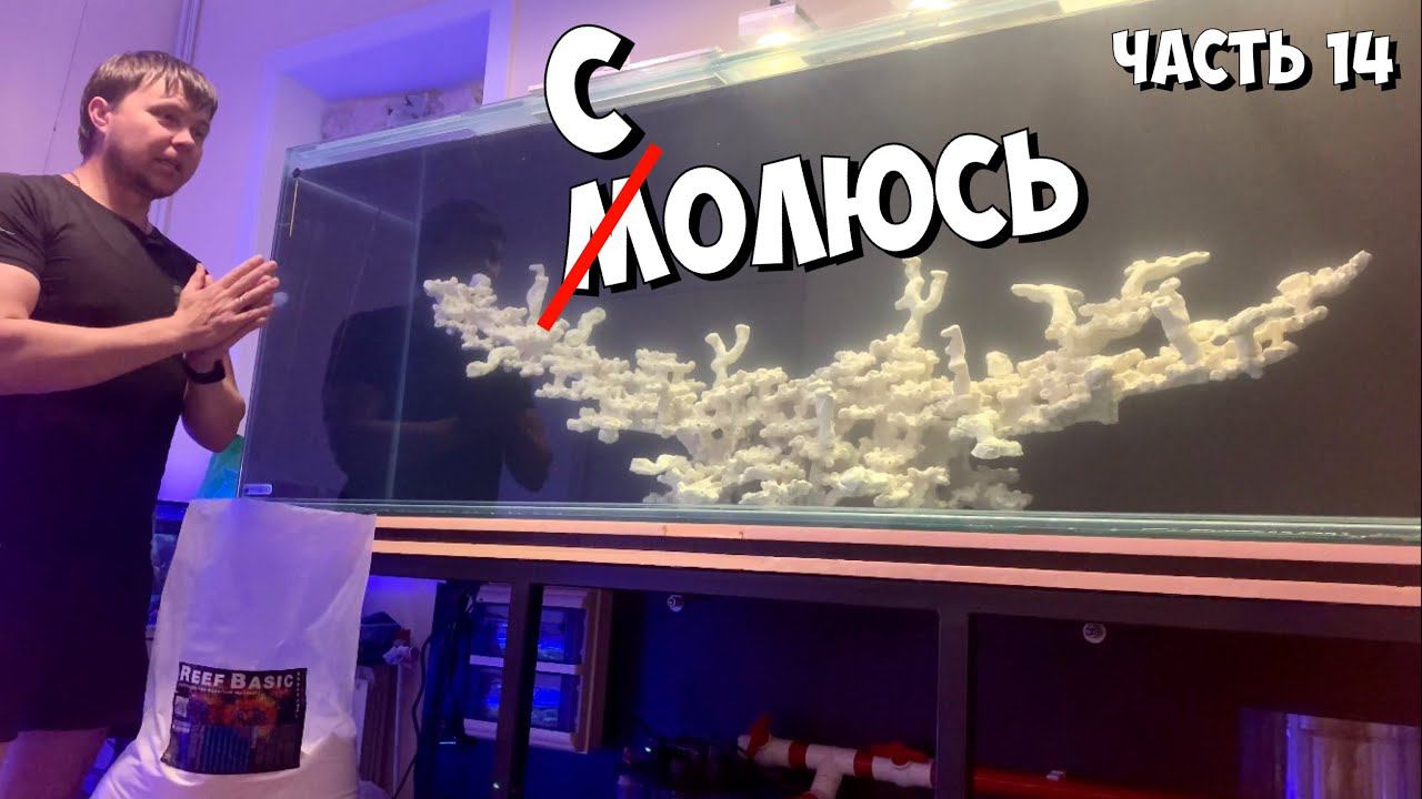 Часть 14 | Солюсь | Морской аквариум на тонну