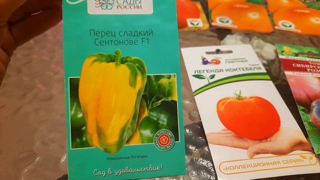 ТОМАТЫ КРУПНОПЛОДНЫЕ, СЕРДЦЕВИДНЫЕ!!! Очень Урожайные!!! Томаты Биф.Помидоры от Сибирского Сада!!!