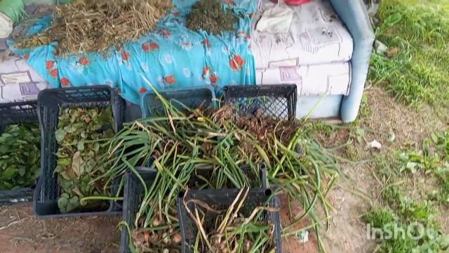 ДЕРЕВЕНСКАЯ ЖИЗНЬ ПЕРЕЕЗД ИЗ ГОРОДА В ДЕРЕВНЮ ОБЗОР САДА ОГОРОДА У ДОЧЕРИ