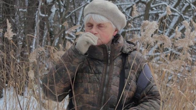Тростник южный.