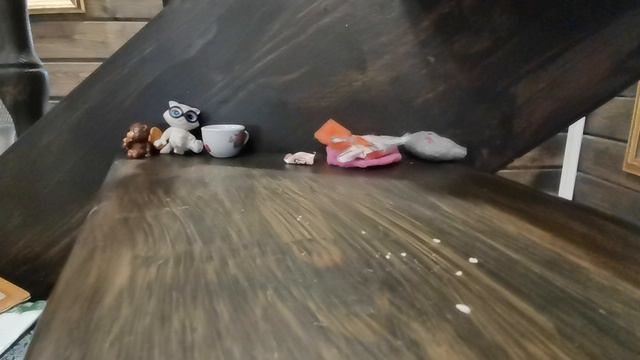 VID_20240830_151730.mp4