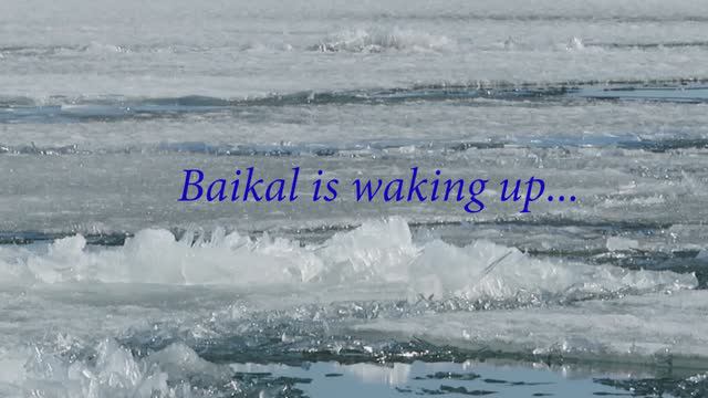 Baikal is waking up (Байкал просыпается)