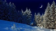 Картинка зима. Снег, ночь, ели, ёлки, месяц.