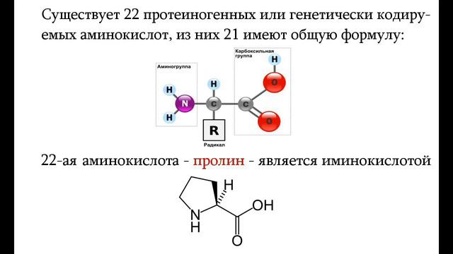 Биософия. Аминокислоты и белки.