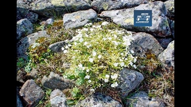 Интересные места  Свердловская область  Кытлым  гора Косьвинский камень