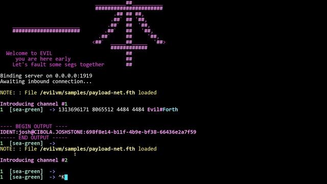 Install and configure EvilVM malicious compiler