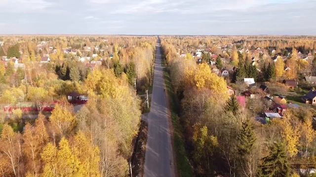 Садоводческий массив Мшинская, осень
