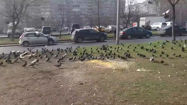 Было где-то в мае