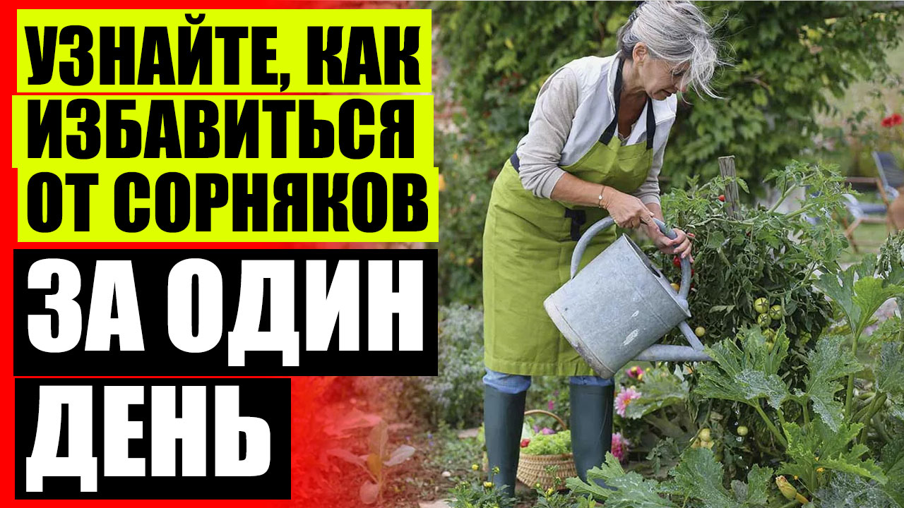 ⛔ Как убрать траву 💣 Биоград средство от сорняков официальный сайт