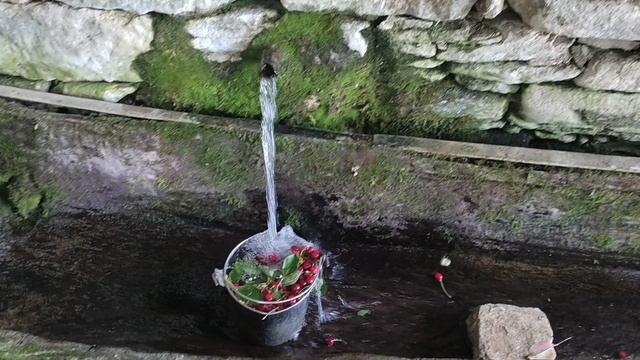 Черешни