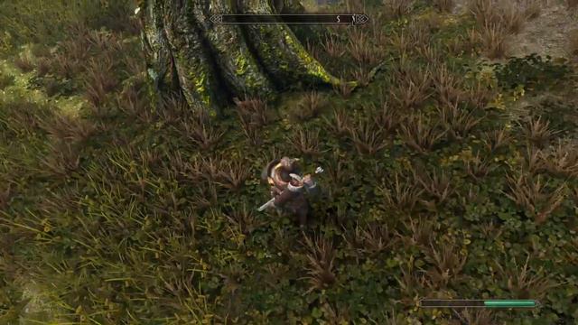 G161's Modded Skyrim SE: Npc Goes The Wrong Way.